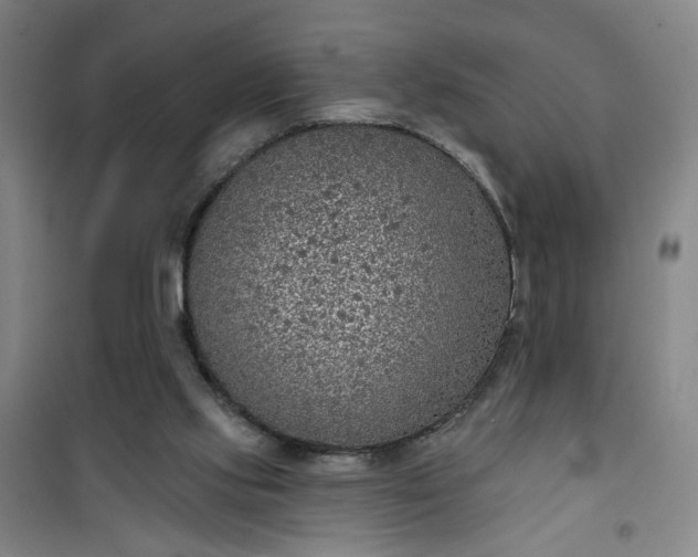 X0000101150061200807111015