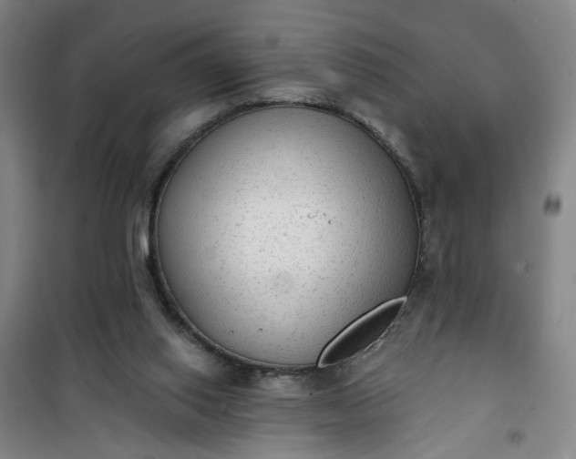 X0000101150062200807111015