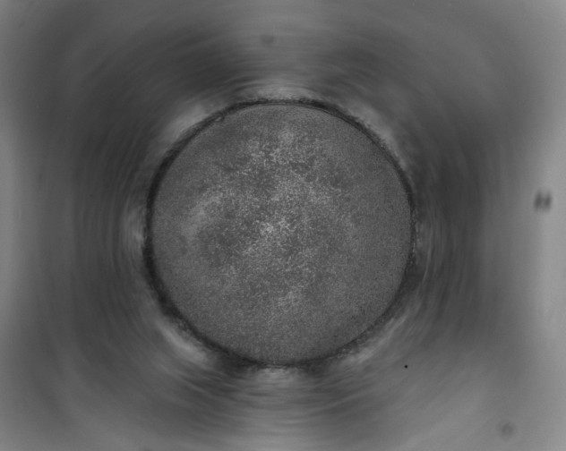 X0000101150063200807111015