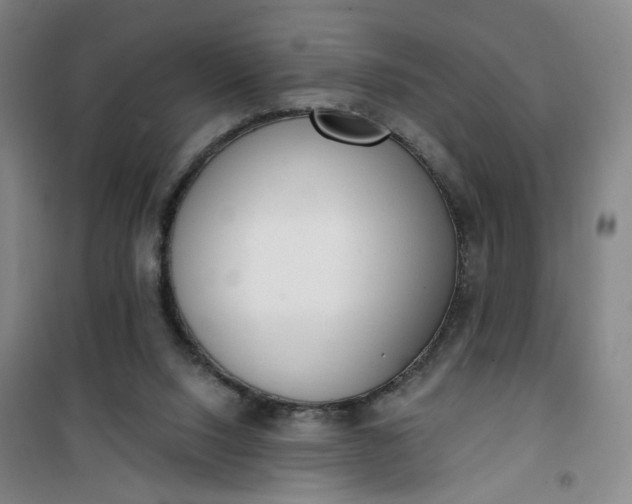 X0000101150064200807111015