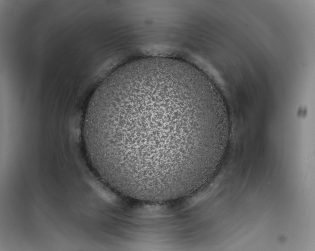 X0000101150065200807111015