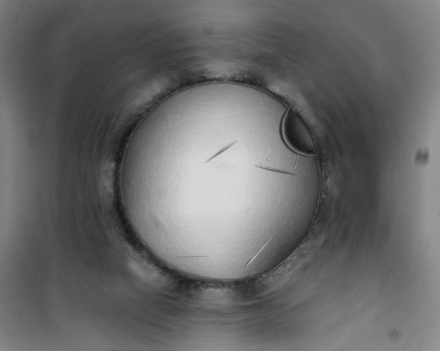 X0000101150066200807111015