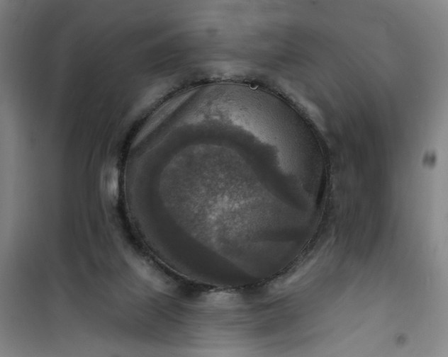 X0000101150067200807111015