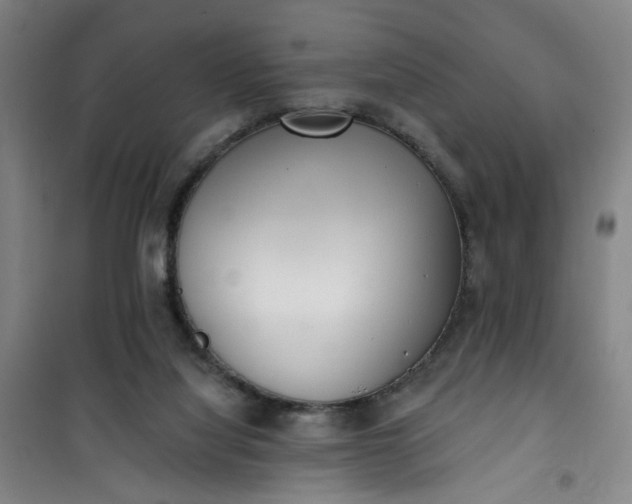 X0000101150068200807111015