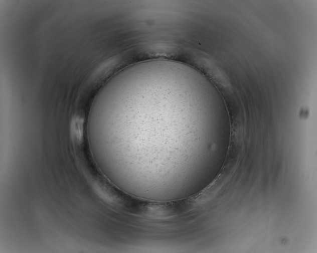 X0000101150070200807111015