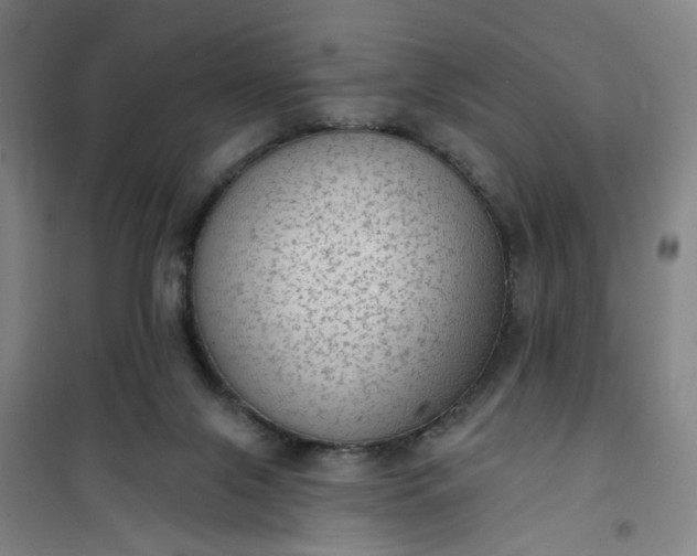 X0000101150071200807111015