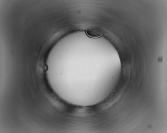 X0000101150072200807111015