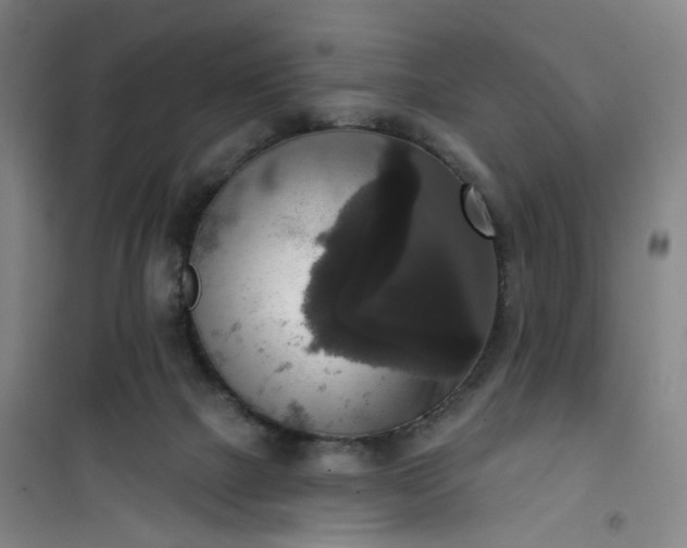 X0000101150073200807111015