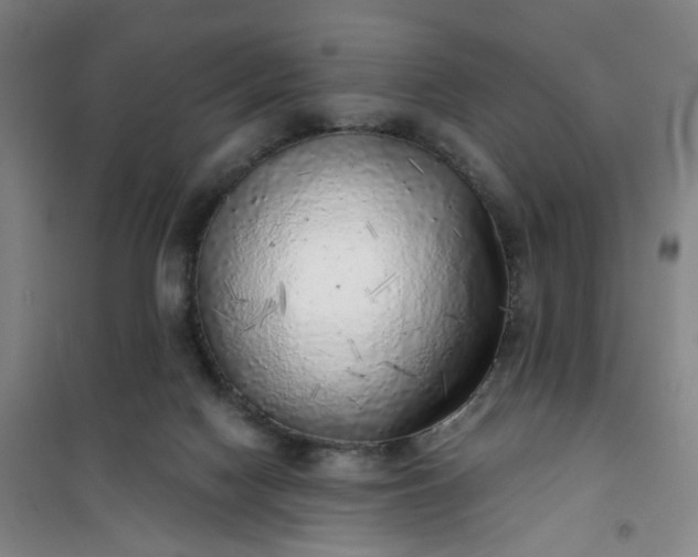 X0000101150074200807111015