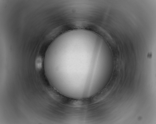 X0000101150075200807111015