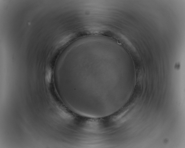 X0000101150076200807111015