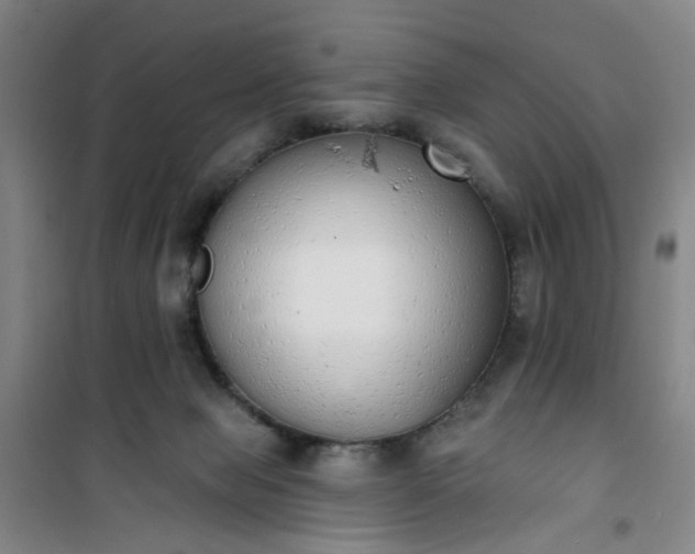 X0000101150077200807111015