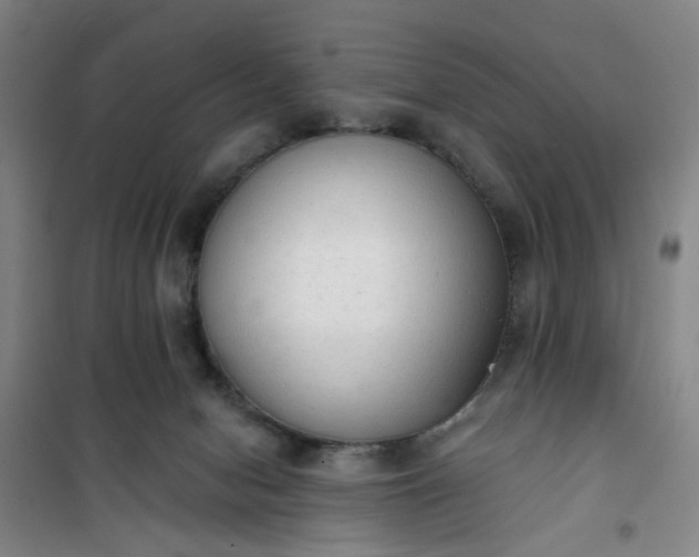 X0000101150078200807111015