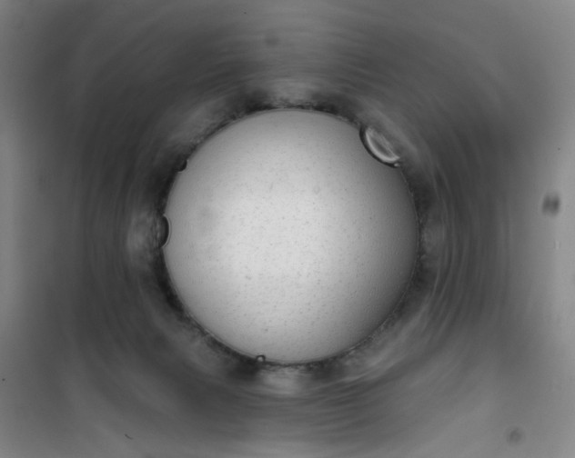 X0000101150079200807111015