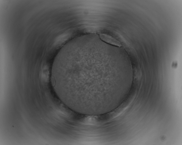 X0000101150080200807111015