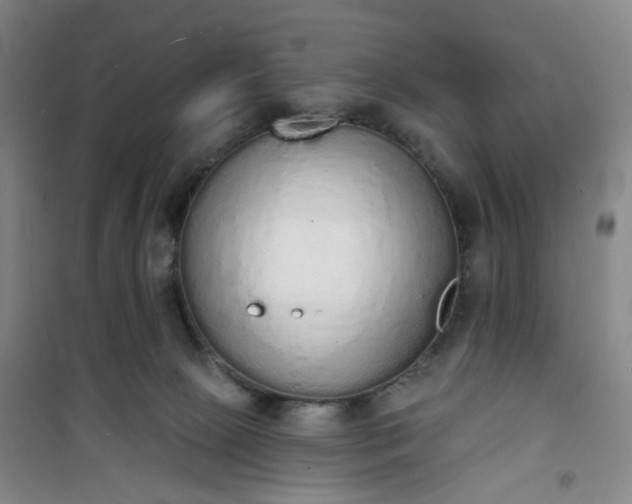 X0000101150081200807111015