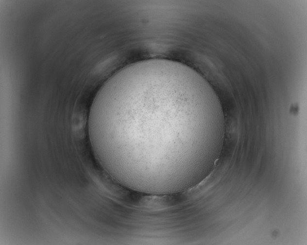 X0000101150082200807111015