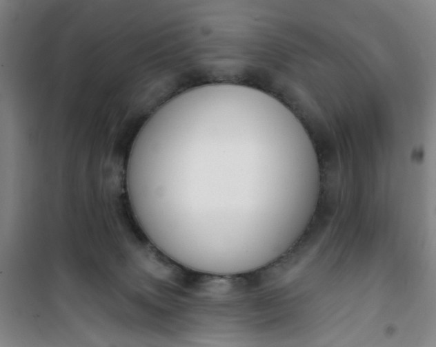 X0000101150083200807111015