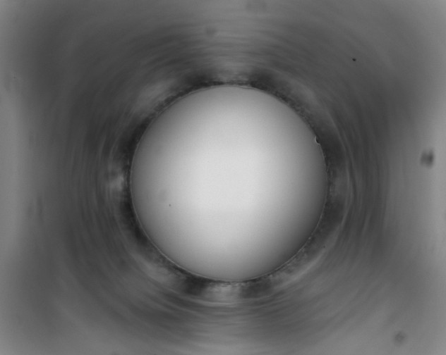 X0000101150084200807111015