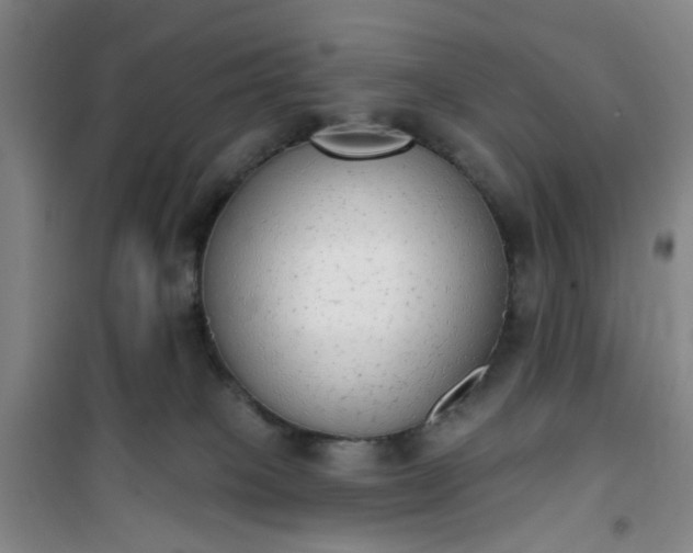 X0000101150085200807111015