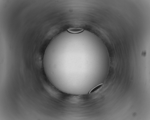 X0000101150086200807111015