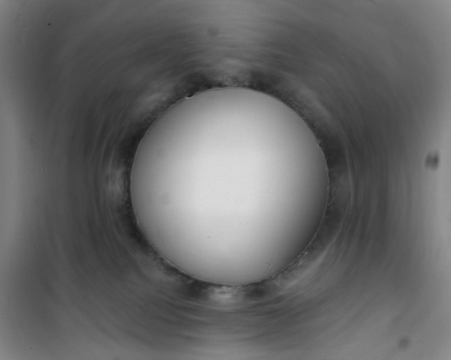 X0000101150088200807111015