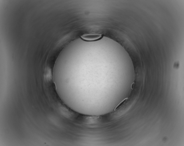 X0000101150089200807111015