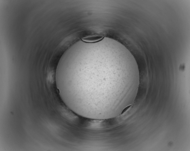 X0000101150090200807111015