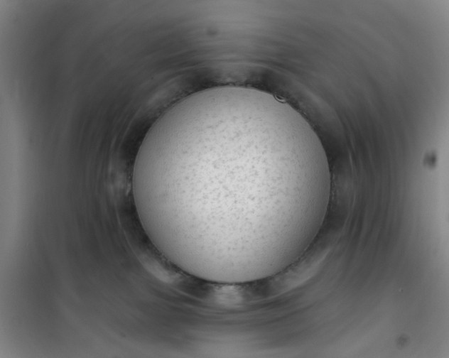 X0000101150091200807111015