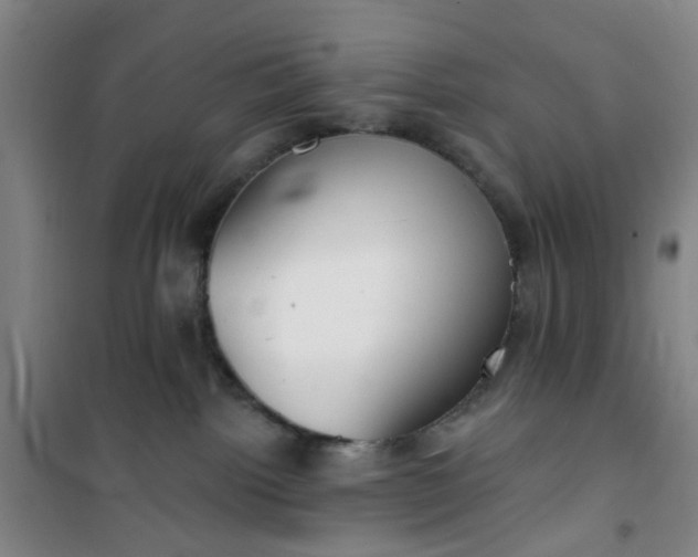 X0000101150092200807111015