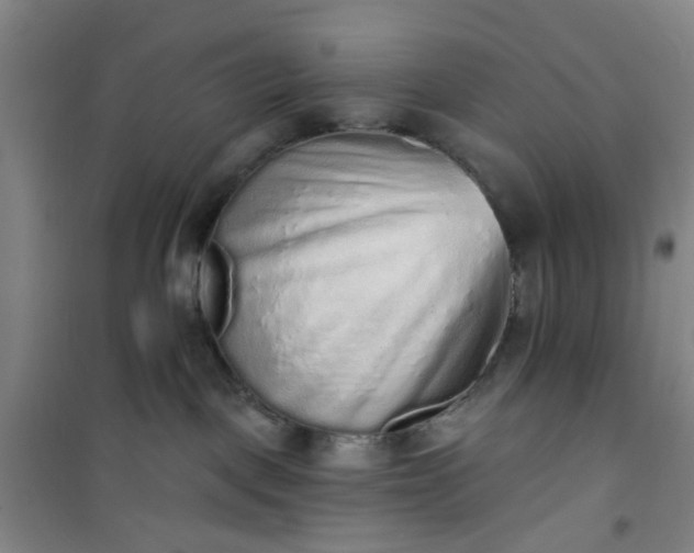 X0000101150093200807111015