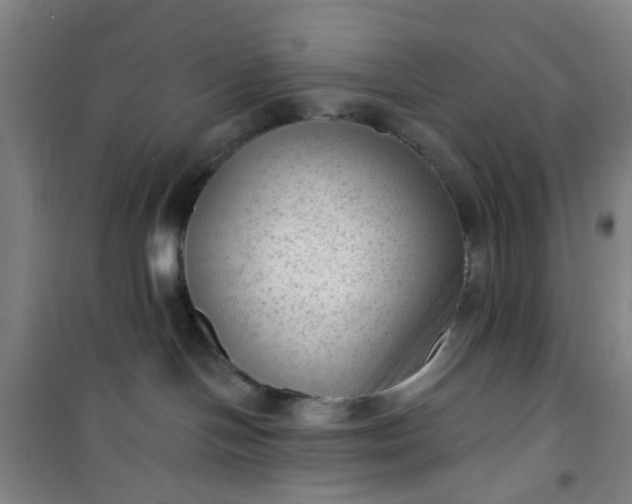 X0000101150094200807111015