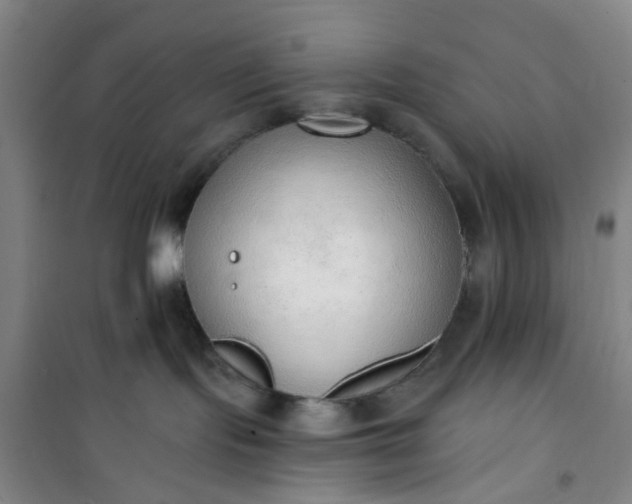 X0000101150095200807111015