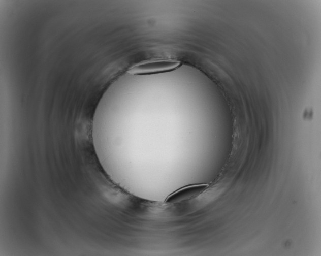 X0000101150096200807111015