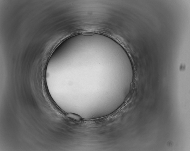 X0000101150097200807111015