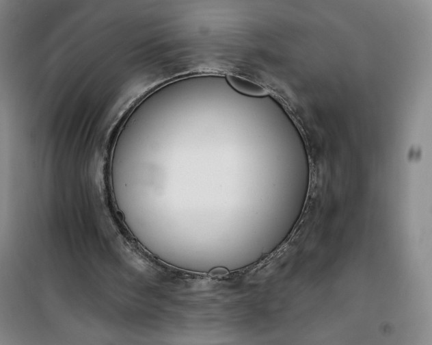 X0000101150098200807111015