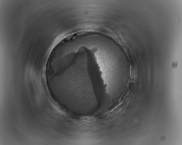 X0000101150099200807111015