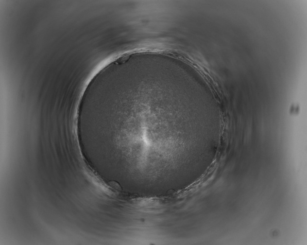 X0000101150100200807111015