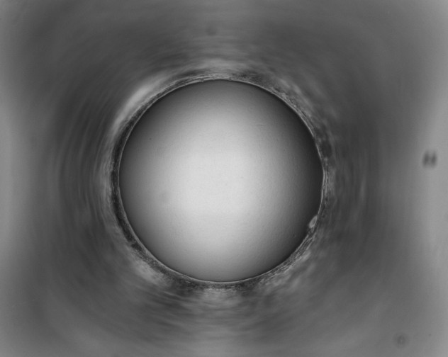 X0000101150101200807111015