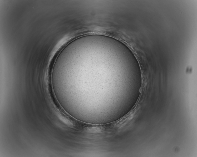 X0000101150102200807111015