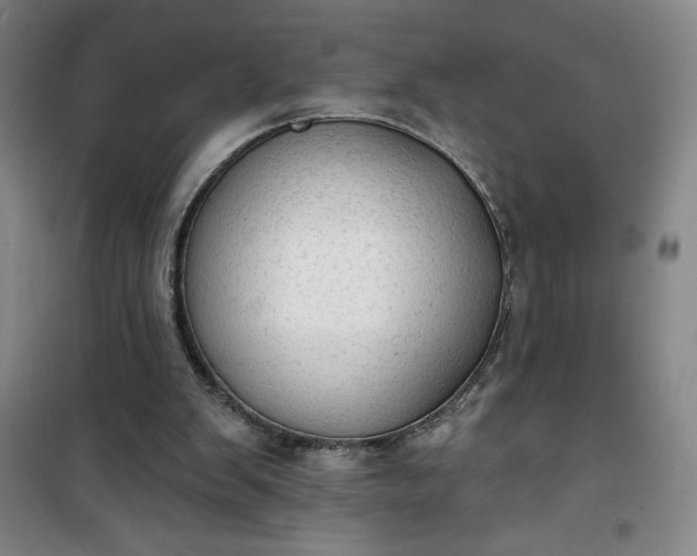 X0000101150103200807111015