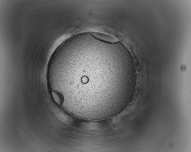 X0000101150104200807111015