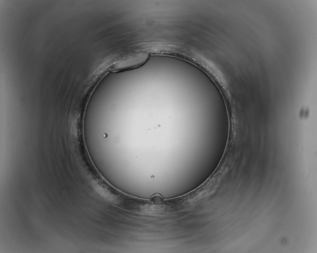 X0000101150105200807111015