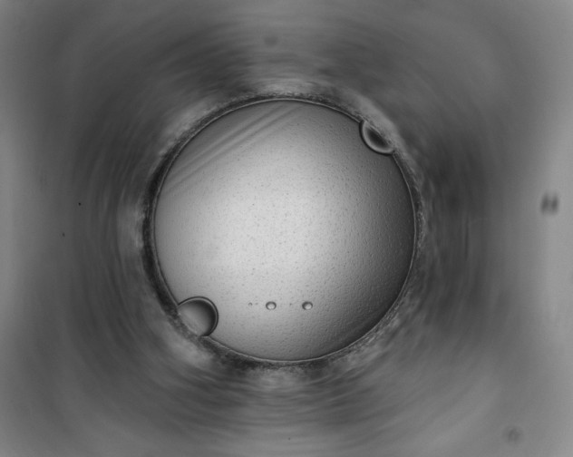 X0000101150106200807111015