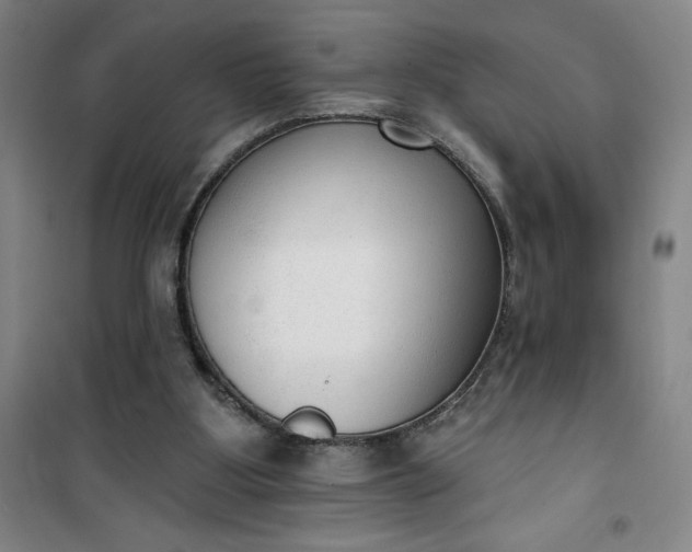 X0000101150107200807111015