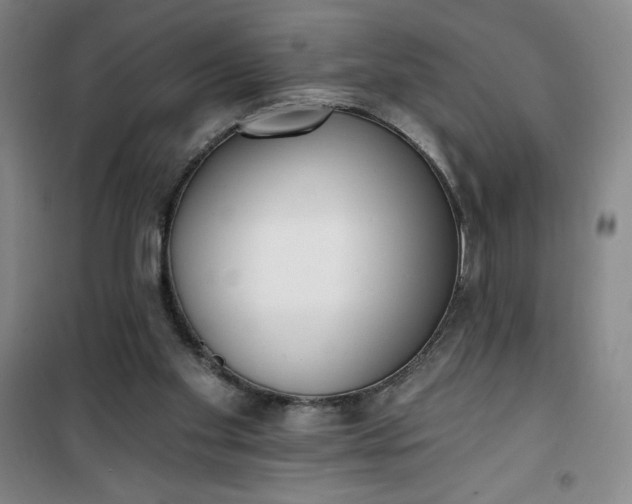 X0000101150109200807111014