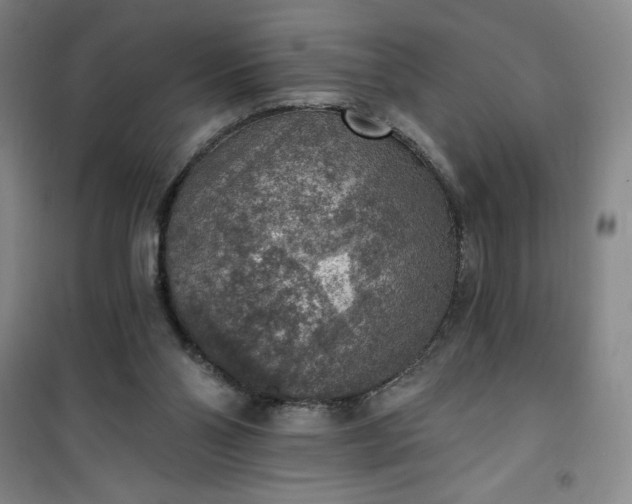 X0000101150110200807111014