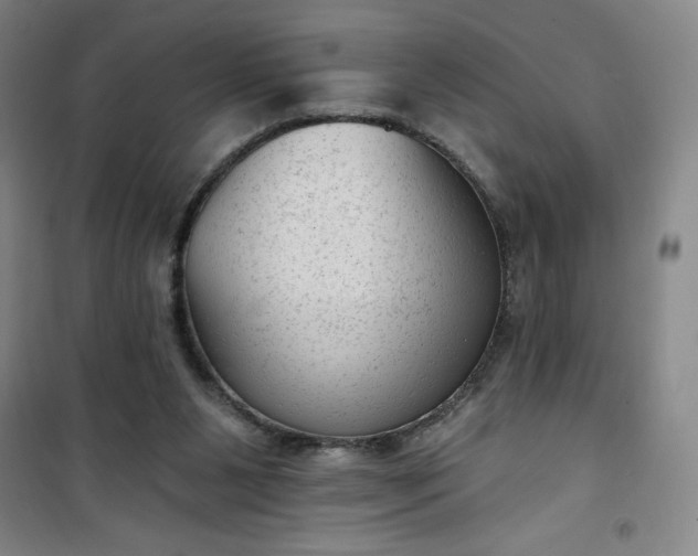 X0000101150111200807111014