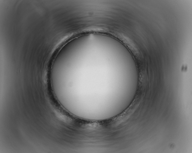 X0000101150112200807111014