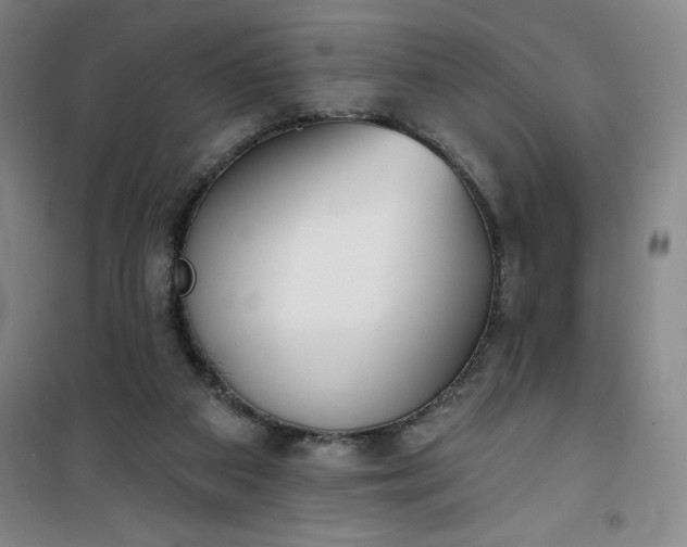 X0000101150113200807111014